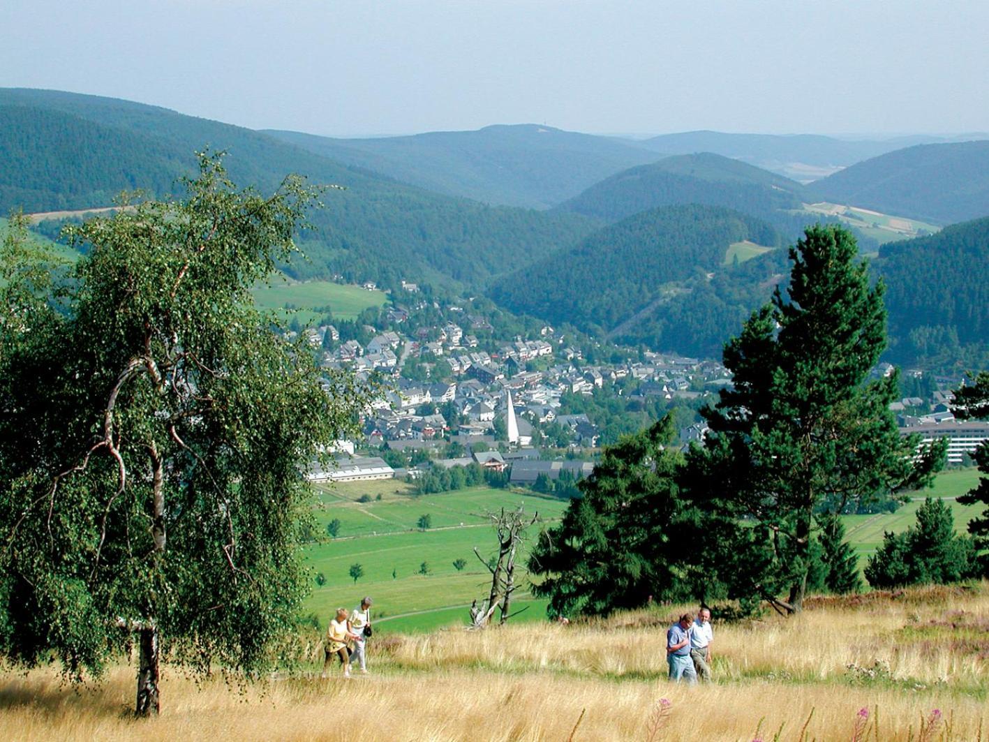 Ferienwohnung Dorf-Quartier Willingen  Exterior foto